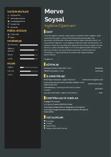 Yabancı Dil Öğretmeni Cv Örnekleri cv indir